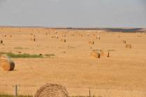 South Dakota,um estado predominantemente agrícola nas Great Plains dos Estados Unidos